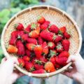 non bloating foods