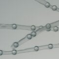 what are peptides